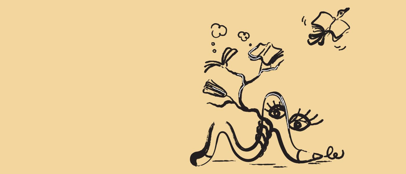 Didattica a distanza - un bilancio a fine anno scolastico